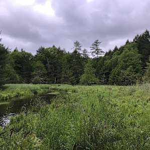 View from campsite