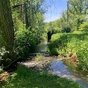 Grateful Farms Creekside