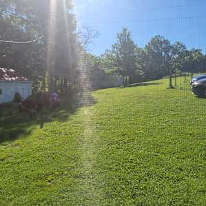 View from our cabin porch.