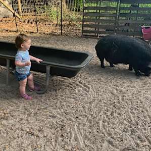 Goat House Farm Camping