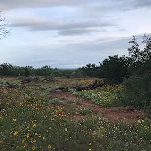 Area walking around campsite #2