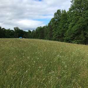 Beautiful secluded spot at the end of the field.