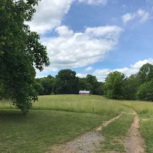 Take the path past the barn and outhouse to reach the campsite.