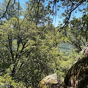 The view from the trail!