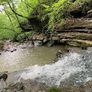 Canvas Tent in the Ozarks