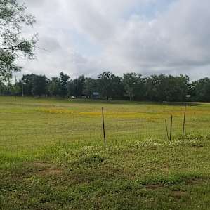 Views from fence line
