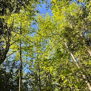 Possum Creek Campground