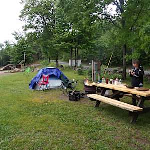 Green Street Family Farm stay