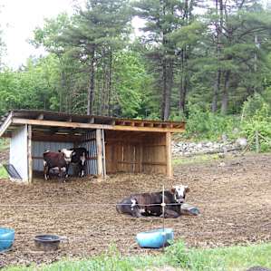 Green Street Family Farm stay