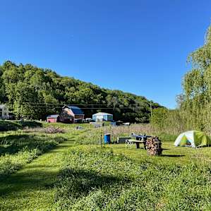 Willow Creek - camp with alpacas