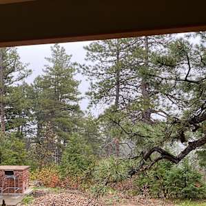 View from the Kitchen
