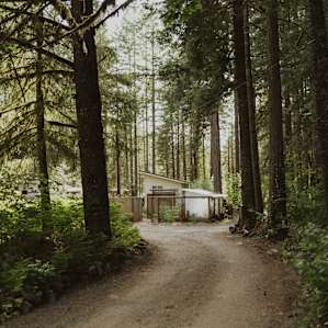 Tucked in the forest.