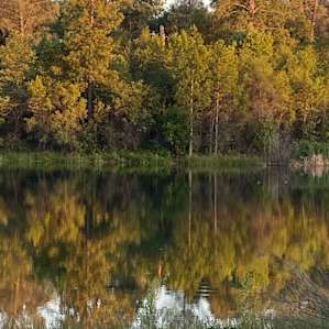 A13 - Waterfront at Finnon Lake