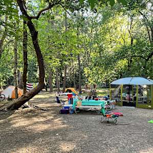 Lots of picnic tables and grills