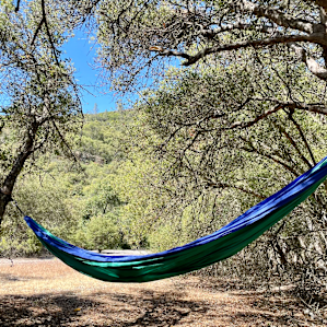 My hammock nestled within the trees.
