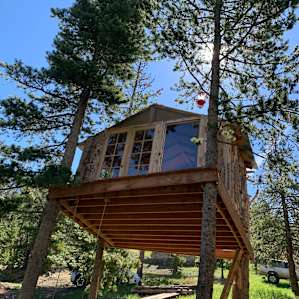 Gold Nugget Tree House