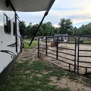 Llama & Alpaca encounters