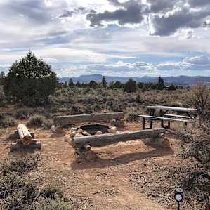 Lone Ponderosa