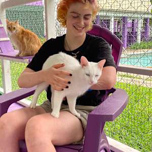 Camp with rescue cats