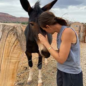 Beyond the Fence Horse Sanctuary