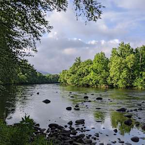 The River Life