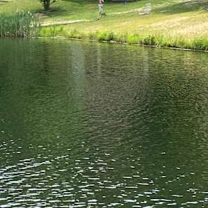 The Outback at Stone Mill