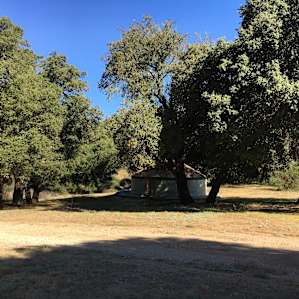 Stallion Oaks Ranch ~16' Yurt