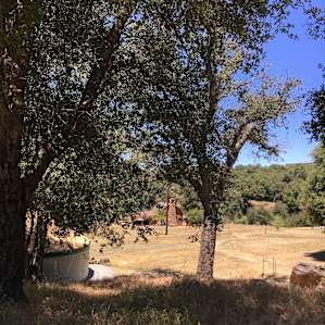 Stallion Oaks Ranch ~16' Yurt