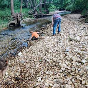 The creek is so wonderful to skip rocks!