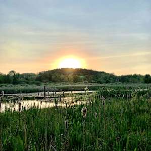 Large Pond - Beside Provincial Park