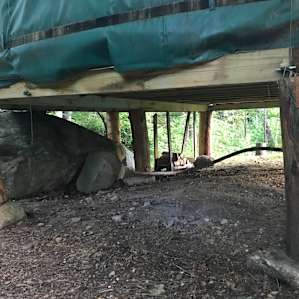 Hand Crafted Yurt in the forest