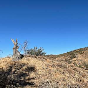 1881 Rangeland Camping