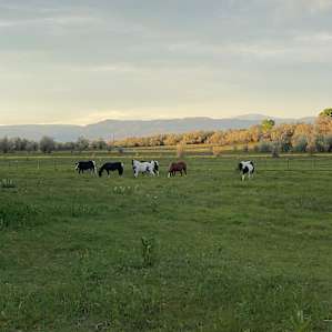 Uinta Springs Ranch