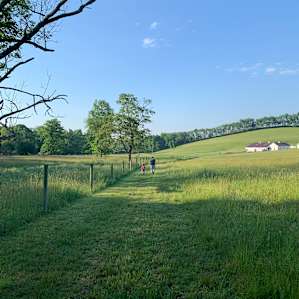 Pond Side Tent Site