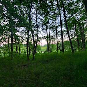 The Boonies