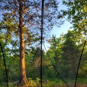 Willow's Back Spring Retreat