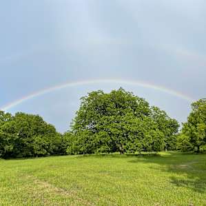 Sleep Under the Pecan Trees