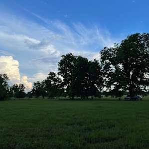 Sleep Under the Pecan Trees