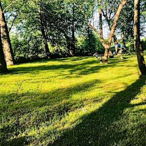 Fox Den Campsite