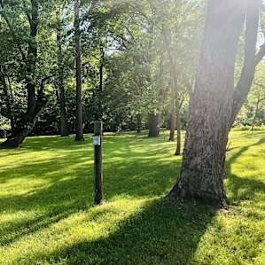 Fox Den Campsite