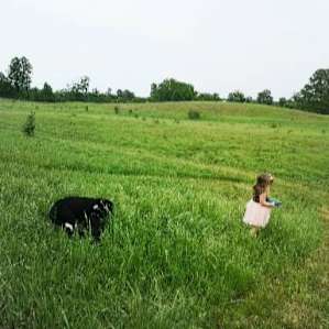 Huge open field