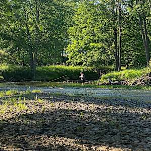 Creekacabana (Camp, Fish, Swim)