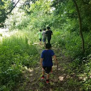 Exploring the woods.