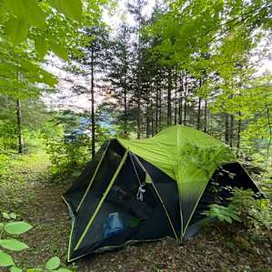 Tent spot in the woods