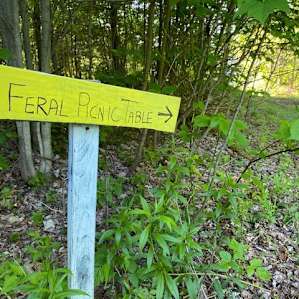 This way to a great camp site.