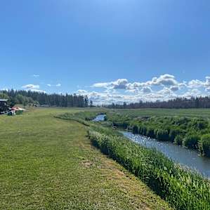 Peaceful slow moving river next to site.