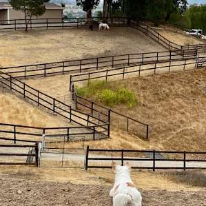 Ballard Hill Ranch Vista RV Camping
