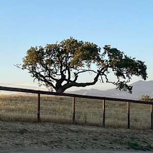 Ballard Hill Ranch Vista RV Camping