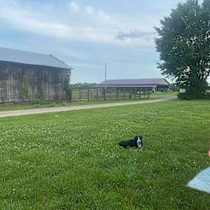 From our site looking at the barns