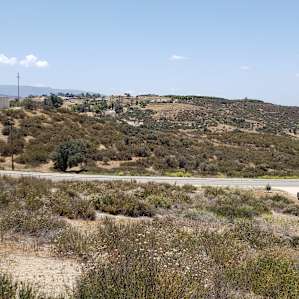 Shadow Hills Wine Country - Olive